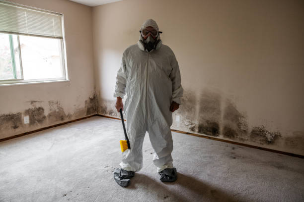 Best Bathroom Mold Remediation in Wartburg, TN